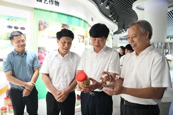 DSC_1731_副本.jpg