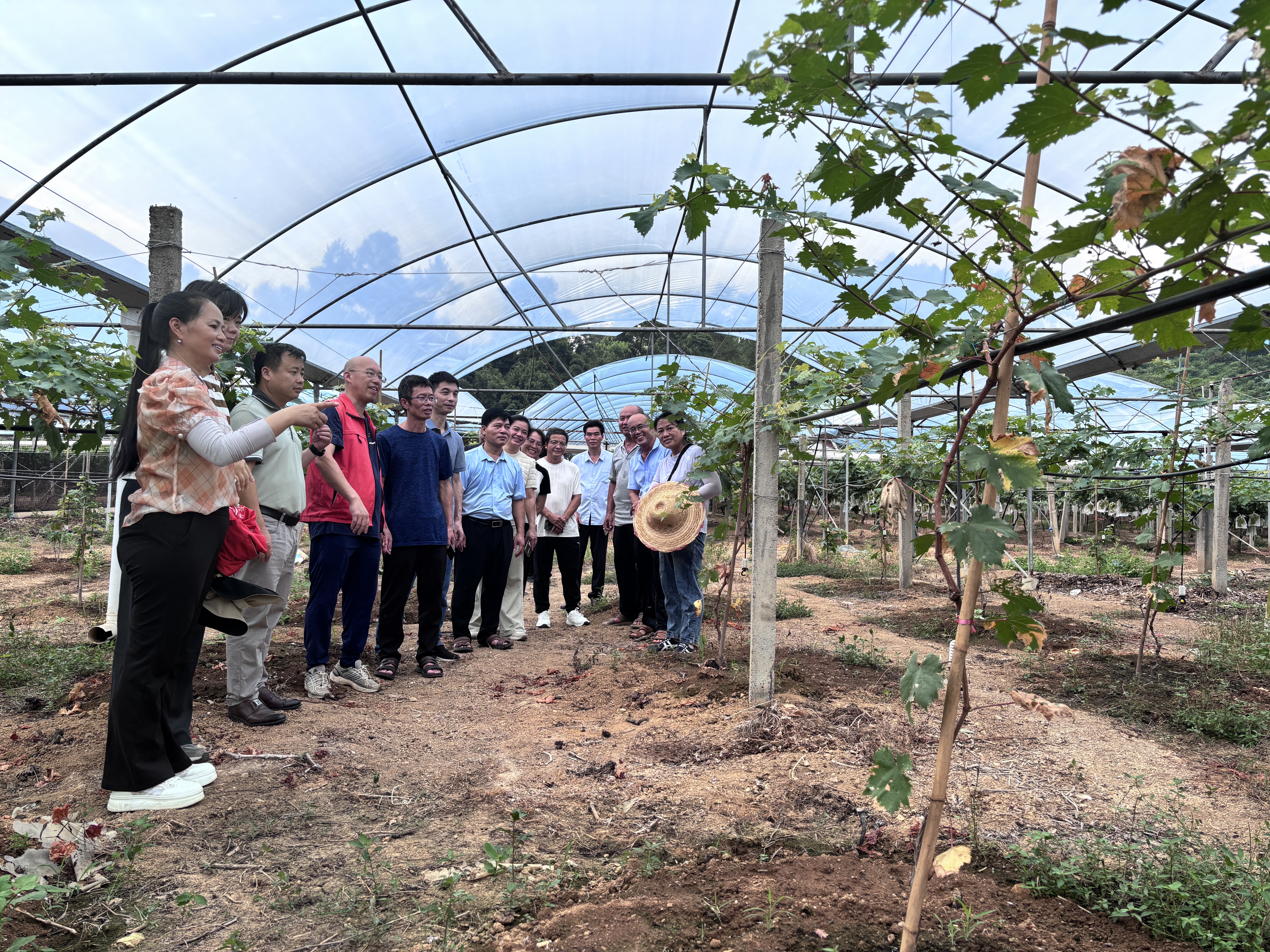 葡萄所科技人员受邀参加柳州市夏季水果生产管理技术培训