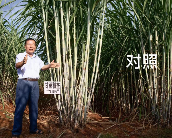图片4_副本.png