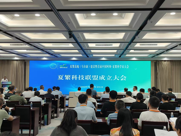 图片2_副本.jpg