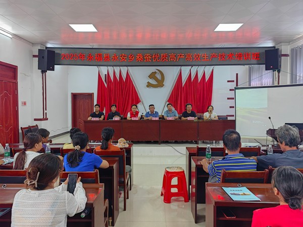 图片1_副本.jpg