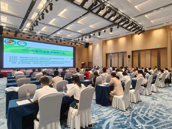 园艺所科研人员参加2025年荔枝龙眼育种研讨会