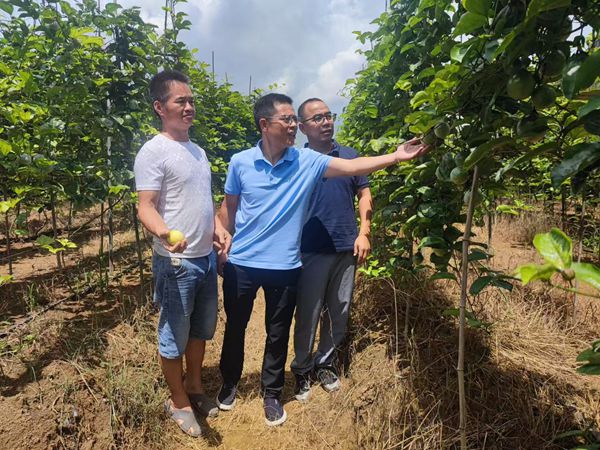 upfile 微信图片_20250829165247_副本.jpg