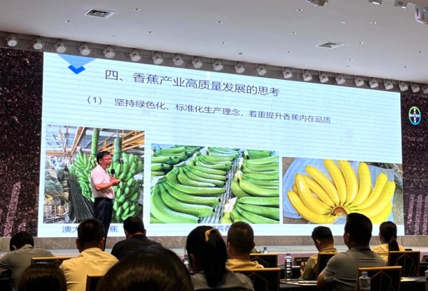 图片2_副本.jpg