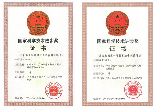 图片2（科技奖）.jpg