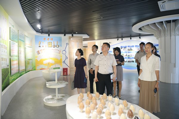 DSC_2429_副本.jpg