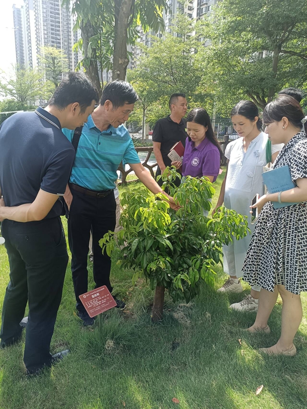 广西农业科学院关工委派专家工作组到南宁市第三中学指导校友亭科普园建设
