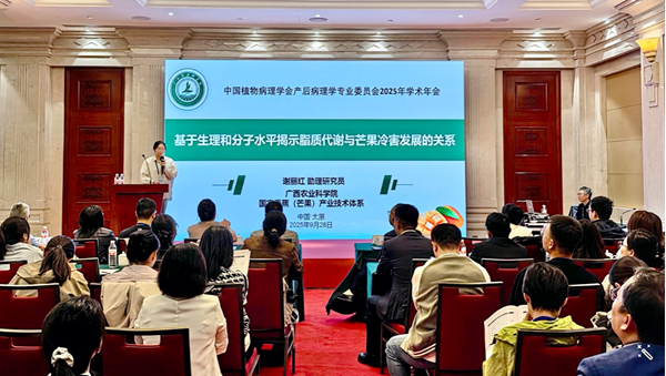 图片1_副本.png