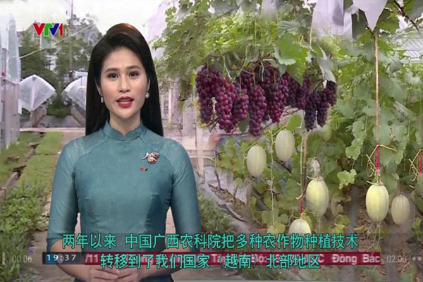图片18_副本.jpg