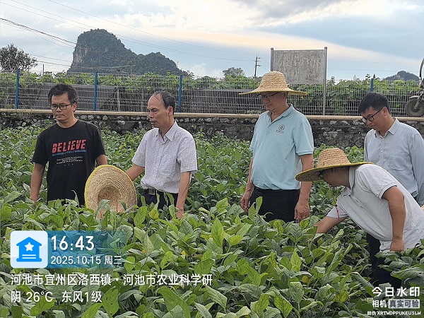 微信图片_20251016161706.jpg