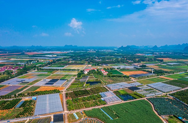 upfile 5-里建基地_副本.jpg