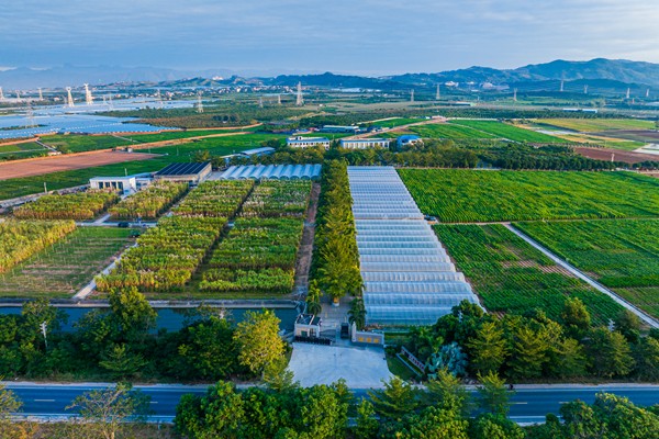 upfile 10-广西南繁基地_副本.jpg