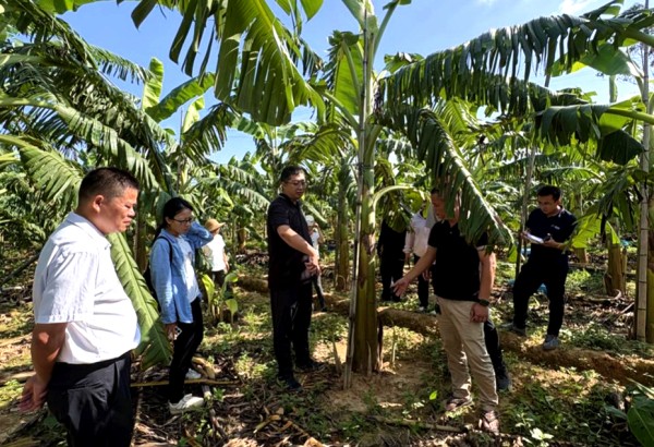 upfile 图片2_副本.jpg