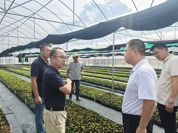 upfile 微信图片_2025-10-21_115859_519_副本.png