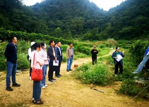 upfile IMG_202510248852_600x432.jpg