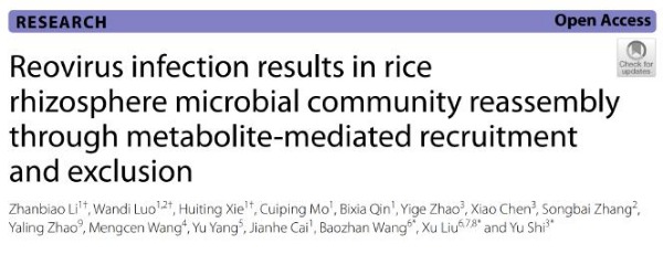 upfile IMG_202510243637_600x230.jpg