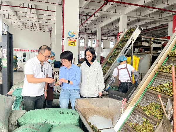 upfile 图片1_副本.png