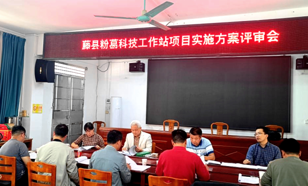 upfile 图片3_副本.jpg