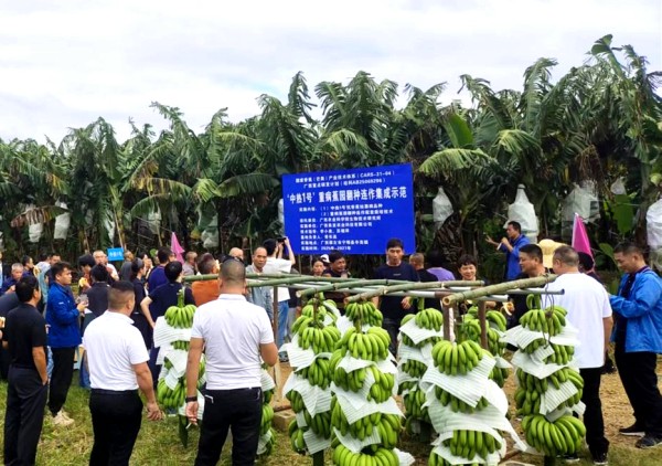 upfile 图片2_副本.jpg