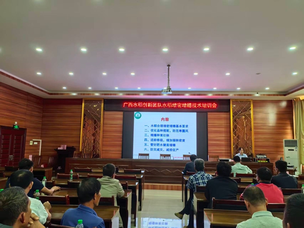 upfile mmexport1761750663994_副本.jpg