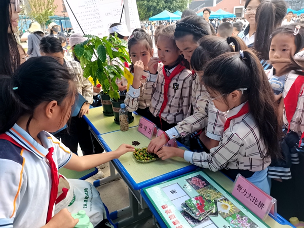 upfile 6263b731343f45964d76a7398c9877e8_副本.jpg