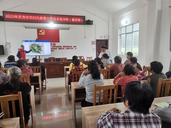 upfile 微信图片_20251031170153.jpg