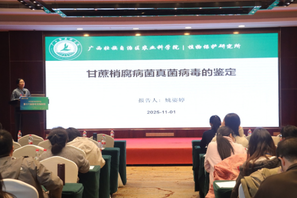 upfile IMG_202511034494_600x400.png