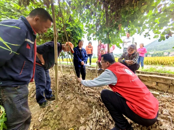 upfile 图片2_副本.jpg