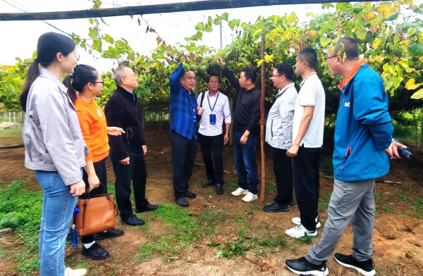 upfile 图片1_副本.jpg