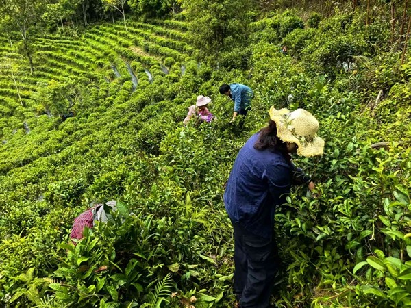 upfile 微信图片_20251103002057_276_212_副本.jpg