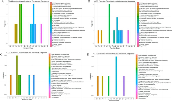upfile 差异蛋白的直系同源基因簇(COG)分析_副本.jpg