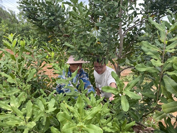 upfile 微信图片_20251106144713_63_211_副本.jpg