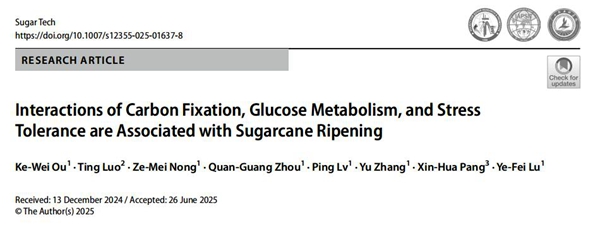 upfile 封面_副本.jpg