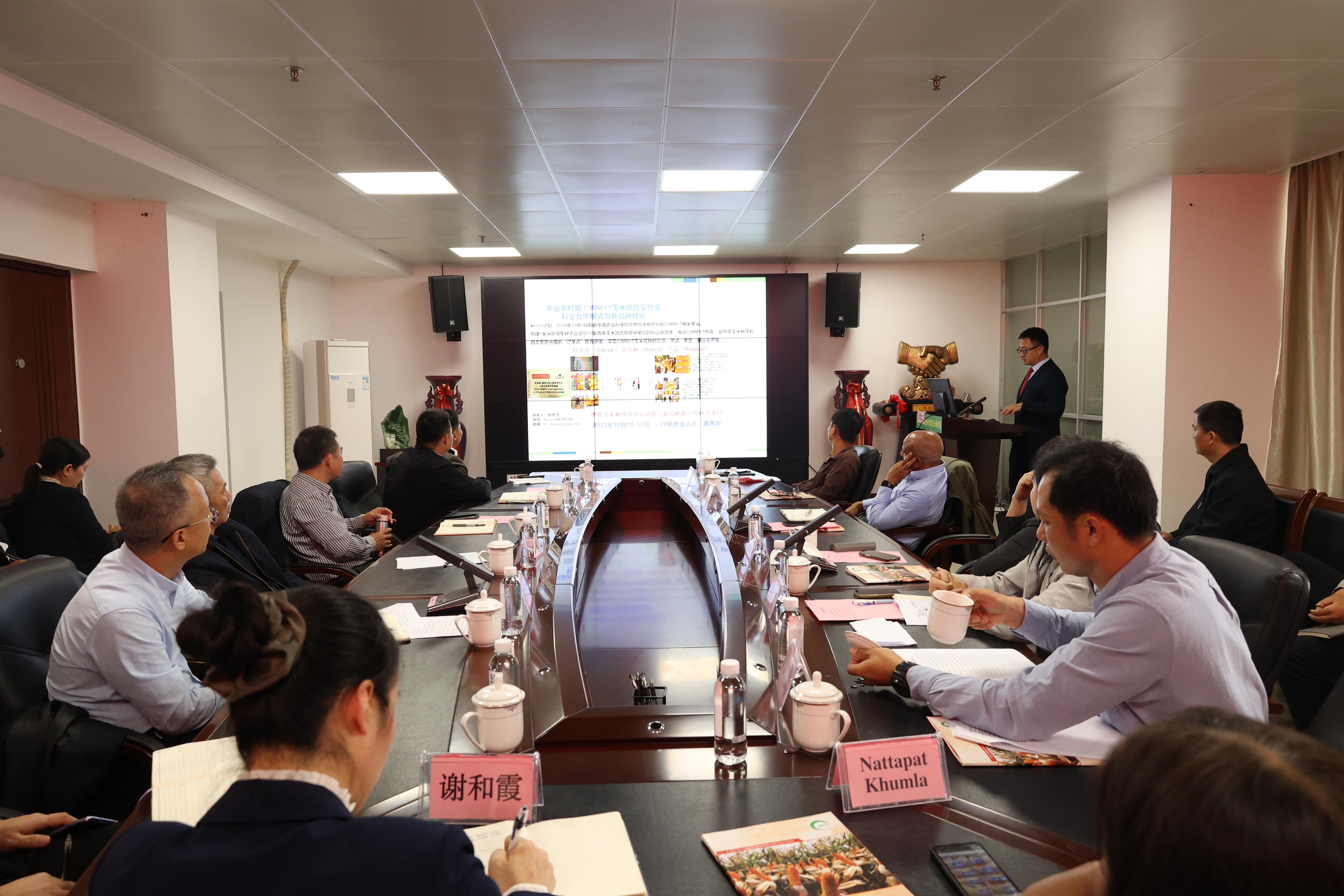 国际玉米小麦改良中心和泰国专家到玉米所开展学术交流
