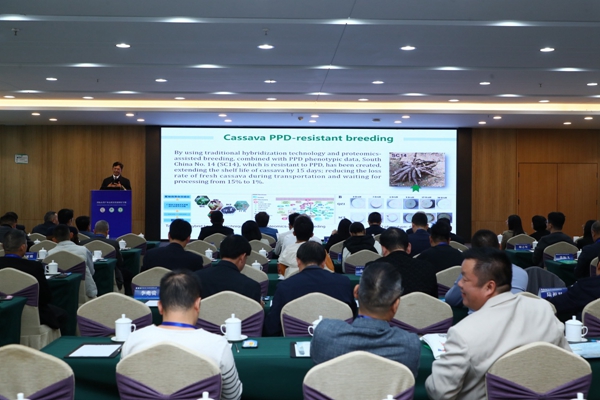 中国热带农业科学院热带作物品种资源研究所陈松笔研究员作《中国木薯产业概况和研究进展》报告。_副本.jpg