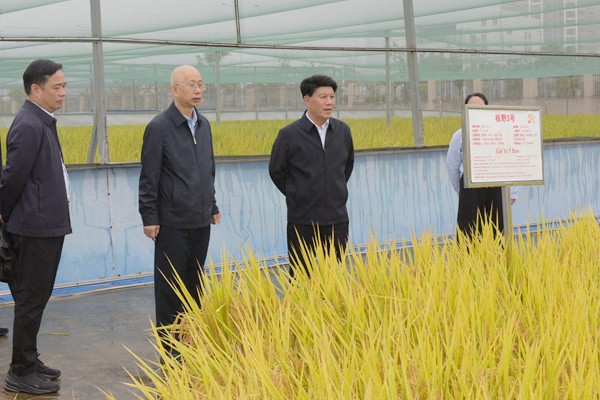 upfile JPG_3354_副本.jpg