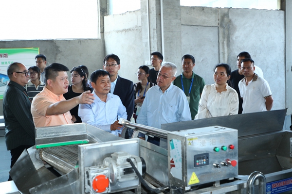 与会人员实地参观木薯制品生产线。_副本.jpg