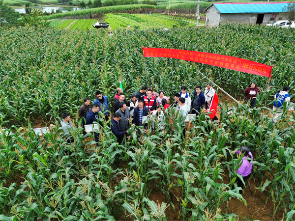 upfile d3c95778b69b2ba63c6e42349e212498_副本.jpg