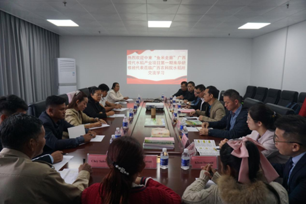 upfile 2025.11.7 (2)_副本.png