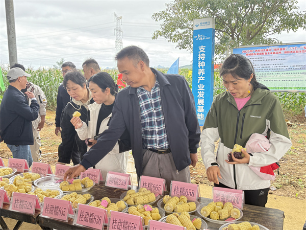 upfile bdaec1ef569b21127e17c7a4026eac93_副本.jpg