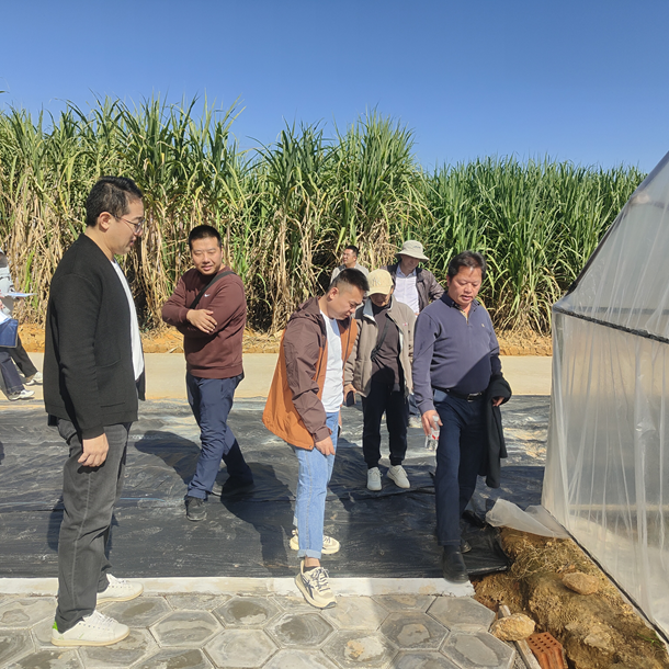 广西南宁甘蔗种质资源圃项目通过竣工验收