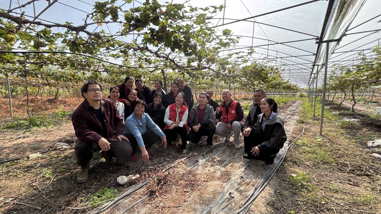 葡萄所科技人员赴柳州市柳江区开展富硒葡萄栽培综合技术培训活动