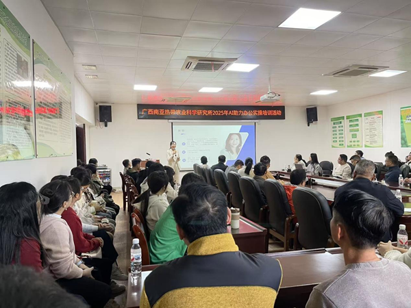 AI赋能办公提效——广西南亚所开展2025年度AI助力办公实操培训