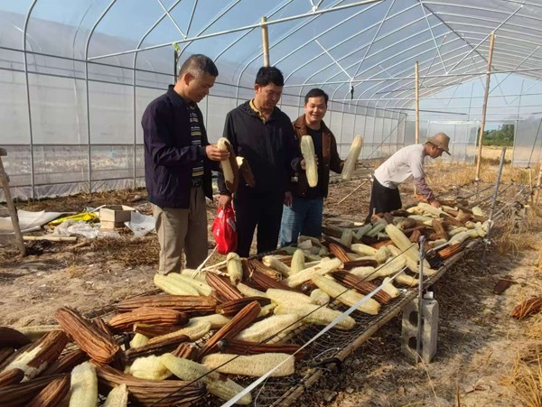 upfile 微信图片_20251126171354.jpg