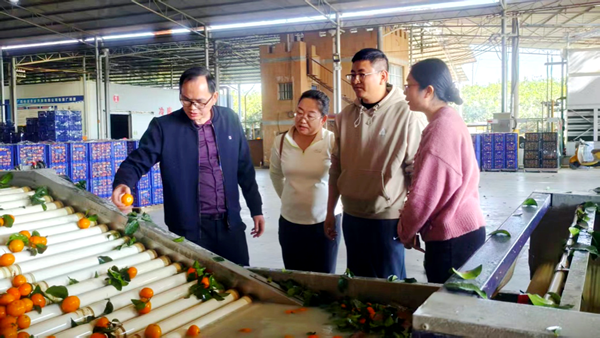 加工所科技人员赴木瓜和柑橘加工企业推进国家重点研发课题实施