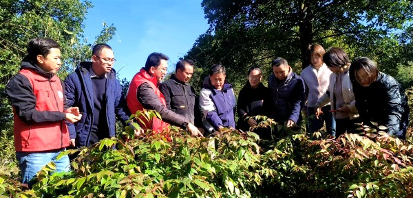 upfile a615cd2090f0b2edc8bfff585c0ba9bd_副本.jpg