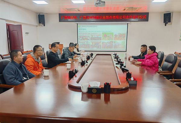 upfile 甘蔗品种权转让_副本.jpg