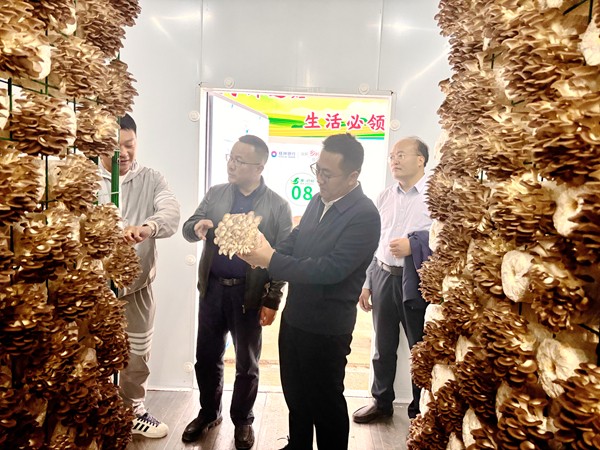 upfile 微信图片_20251210172703_11_1560_副本.jpg