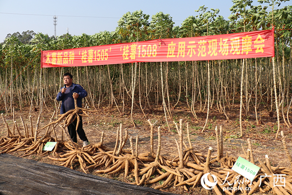 upfile 图片3_副本.png