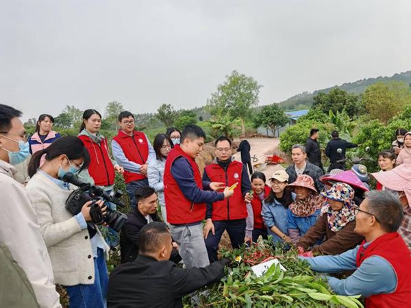 upfile 灵山县系列技术推广_副本.jpg